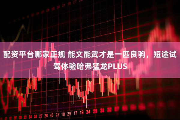 配资平台哪家正规 能文能武才是一匹良驹，短途试驾体验哈弗猛龙PLUS